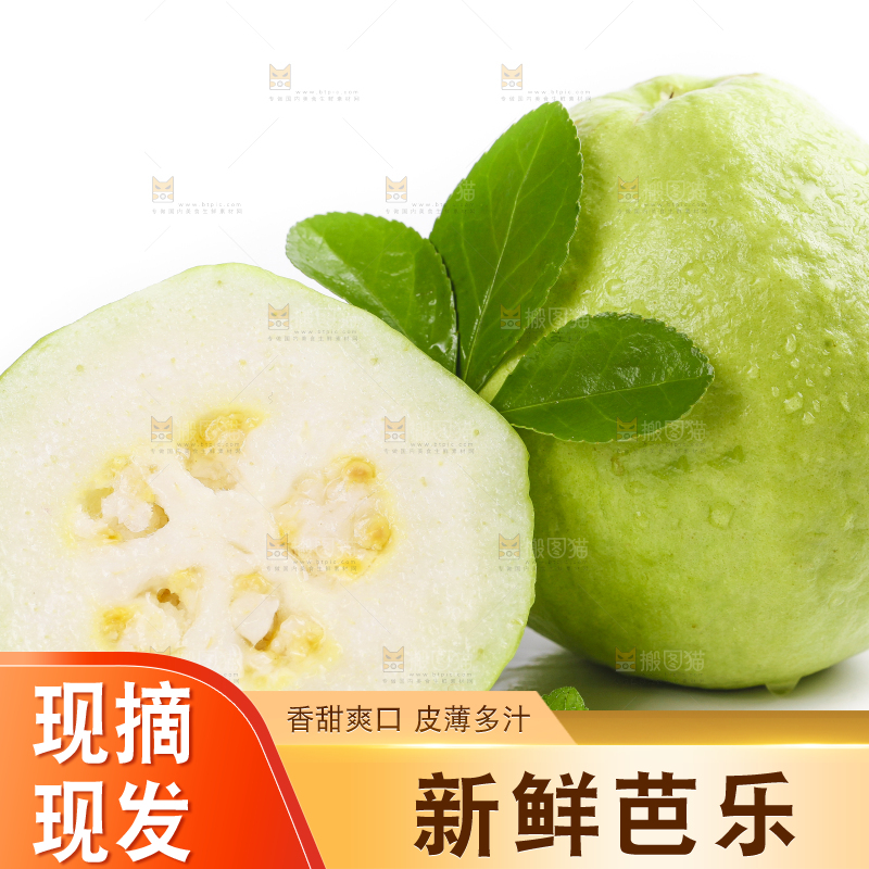 白底上放着白心番石榴