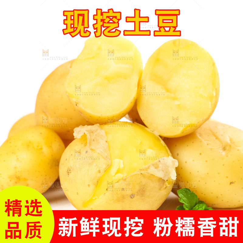 白底上的小土豆