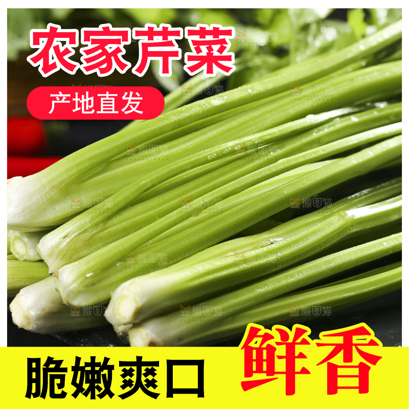 黑底上放着小芹菜