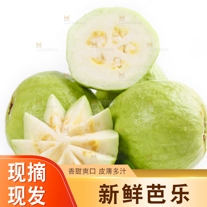 白底上的广西白心芭乐