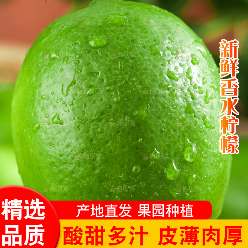 手里拿着薄皮青柠檬