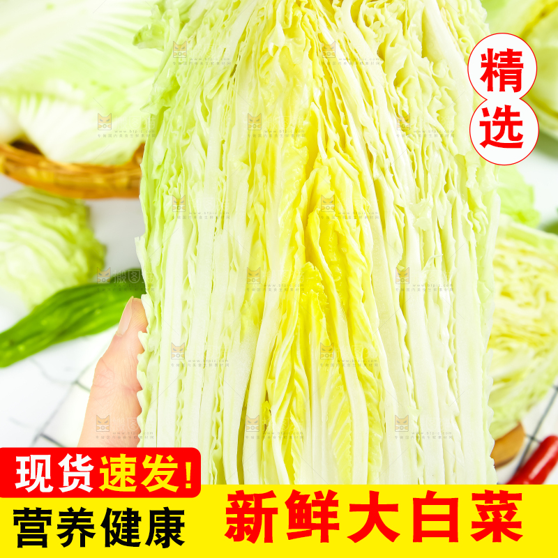 格子底上放着大白菜