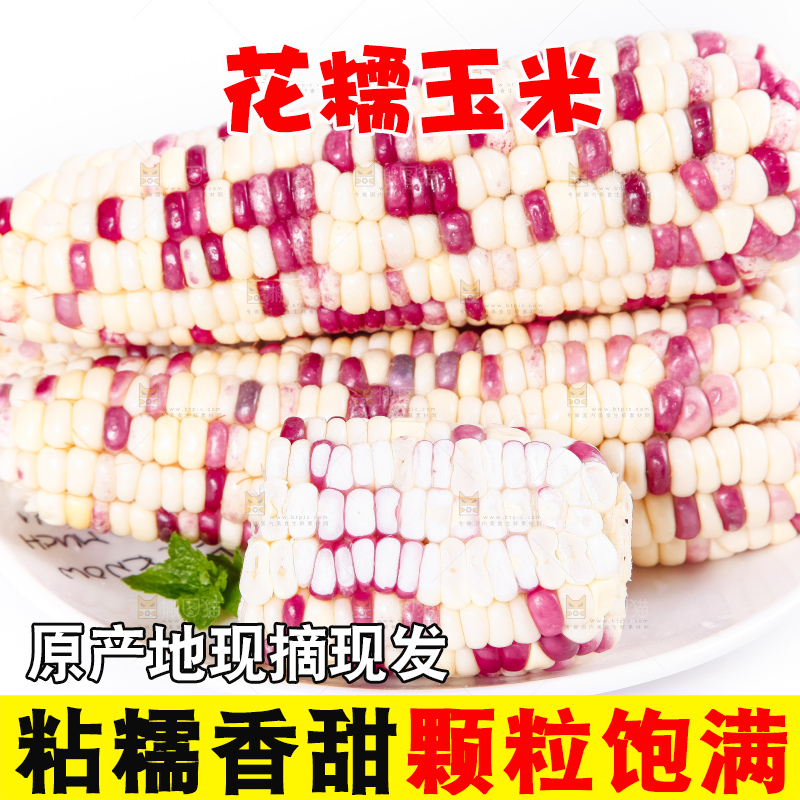 盘子里装着剥皮的广西花糯玉米