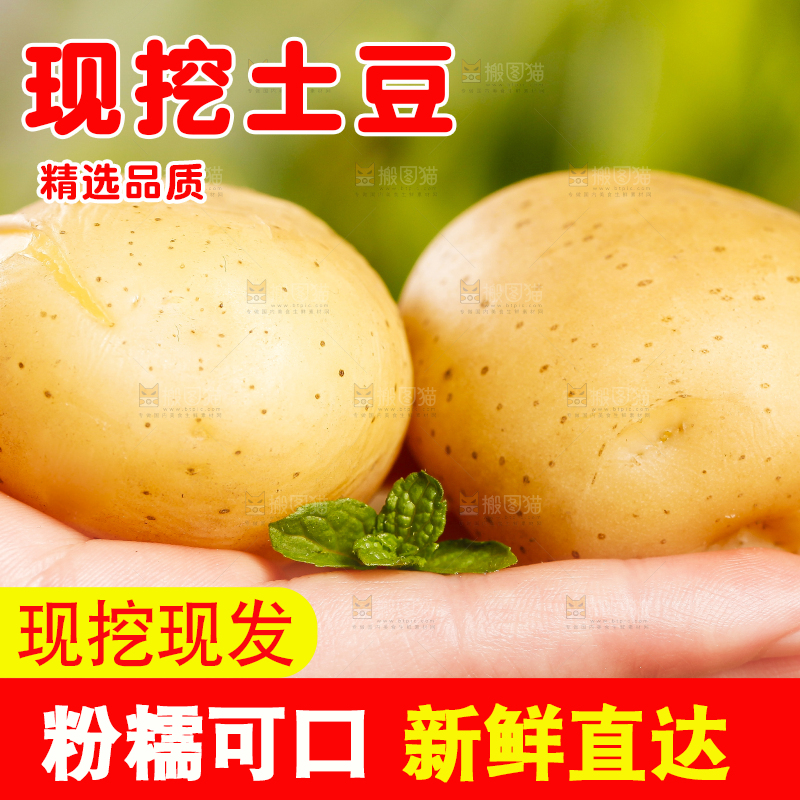 手里拿着小土豆