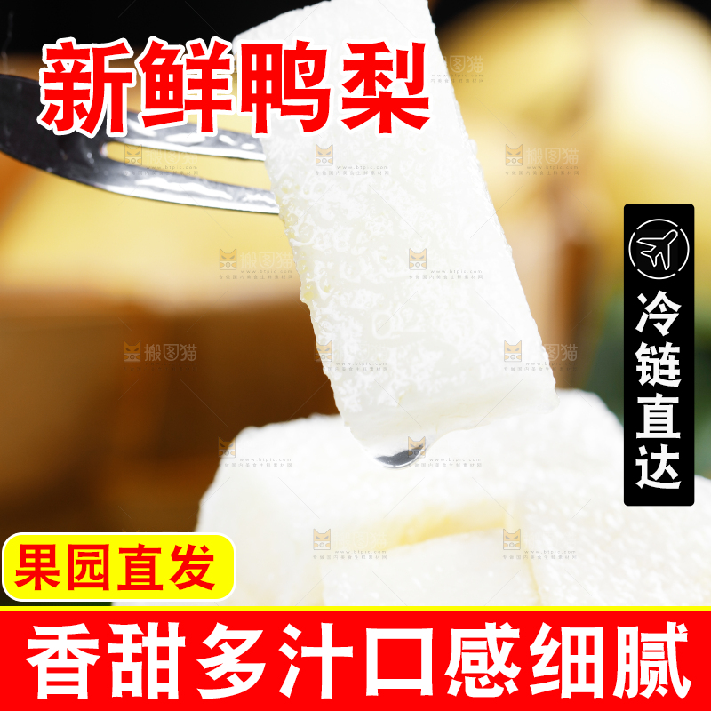 黑石板的上鸭嘴梨