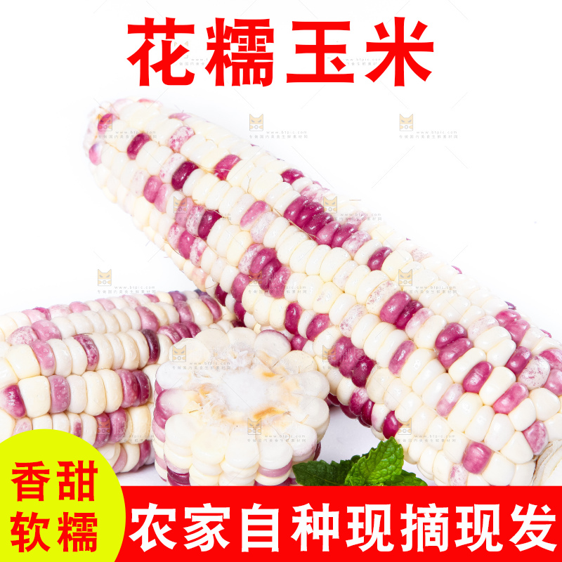 白底上放着剥皮的花玉米