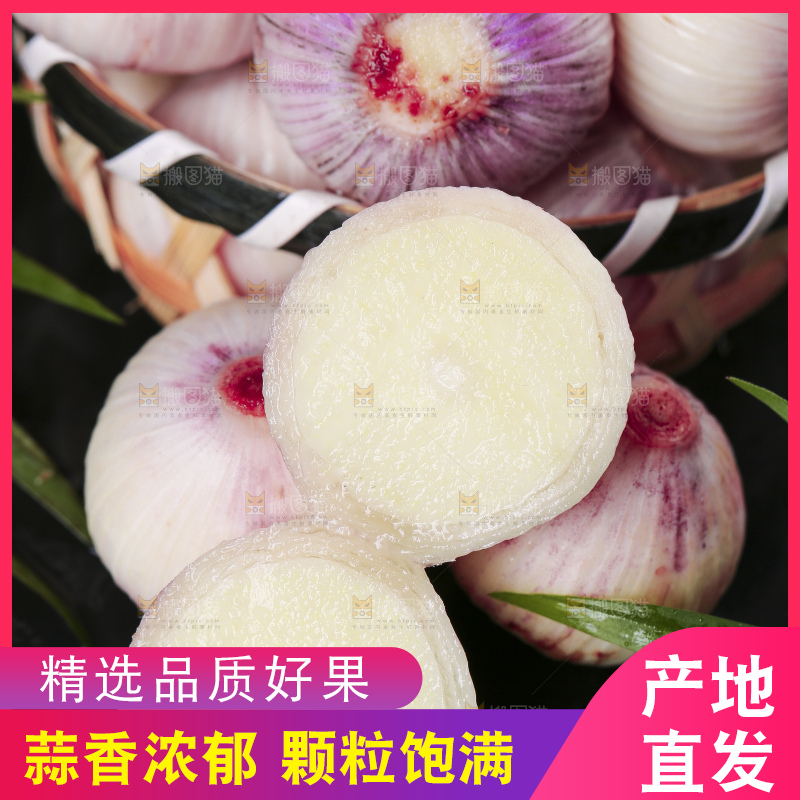 黑底上放着云南紫皮独头蒜