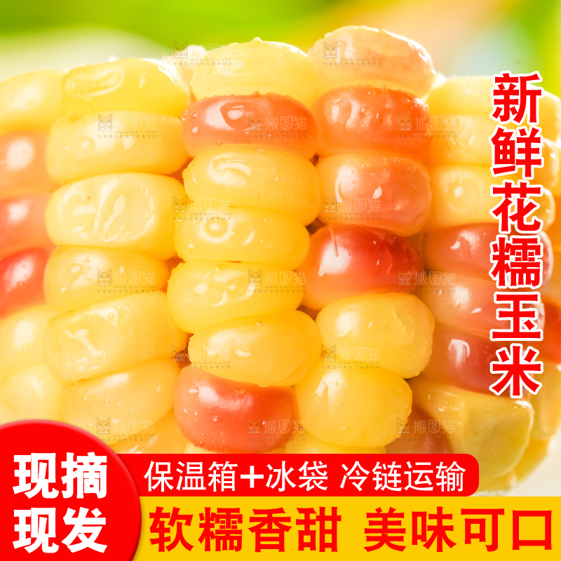 手里拿着花玉米