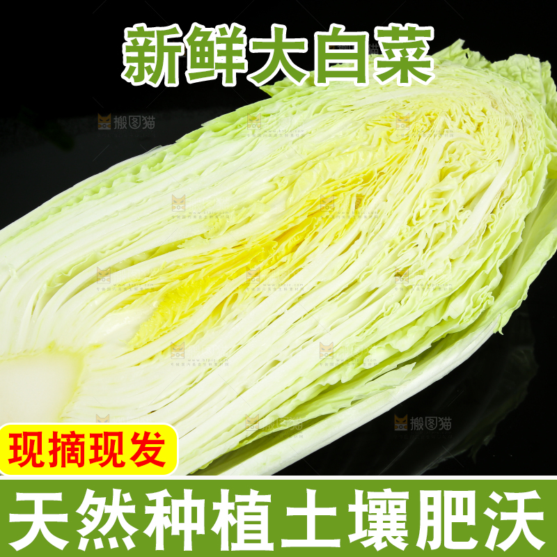 黑底上的黄心大白菜