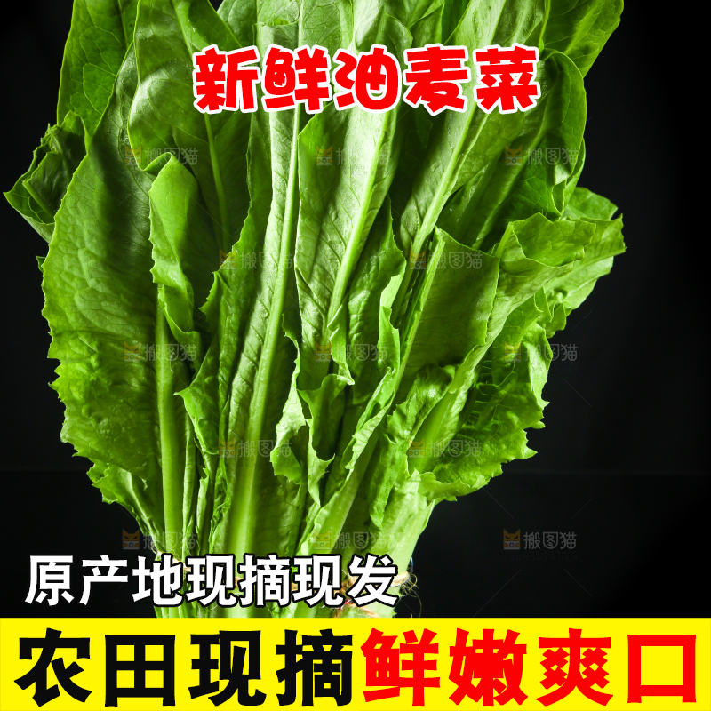 黑底上的油麦菜