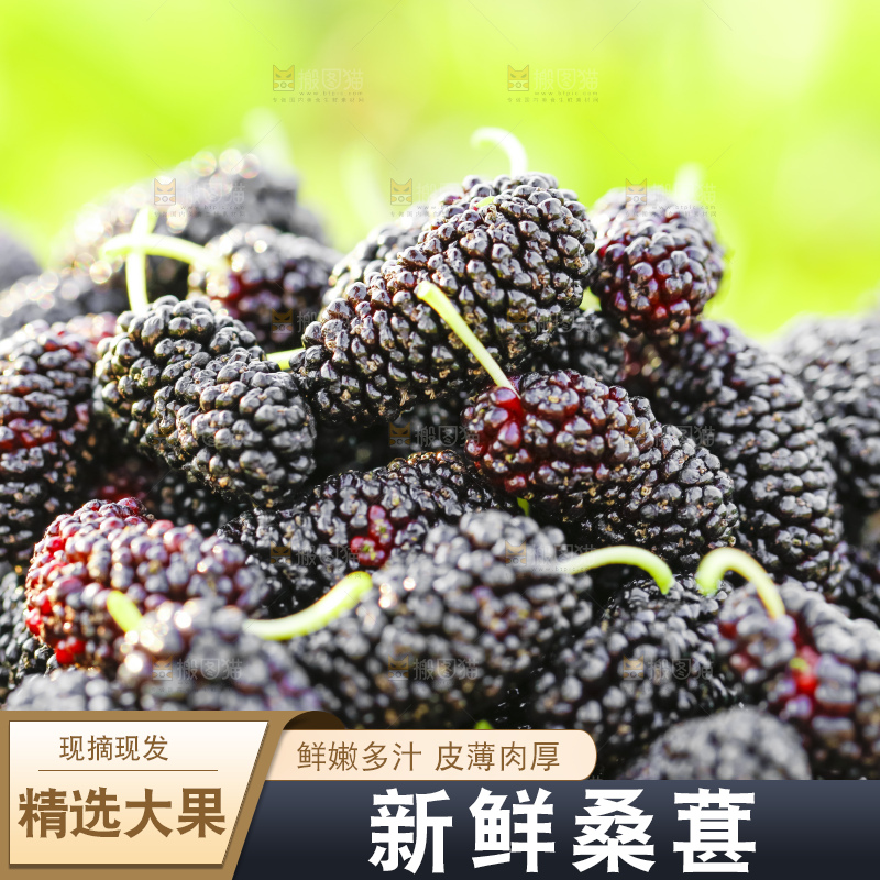 竹篮里装着桑葚