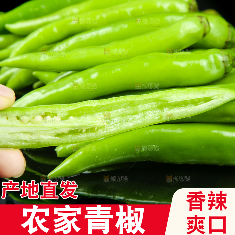 黑底上放着青尖椒