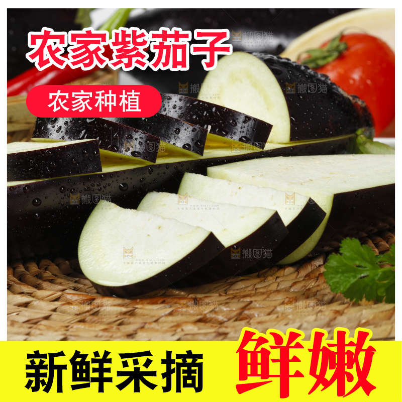 白底上放着新鲜茄子