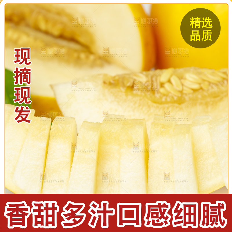 切开的黄河蜜瓜放在白底上