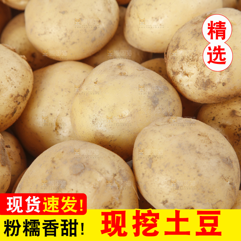 一堆小土豆