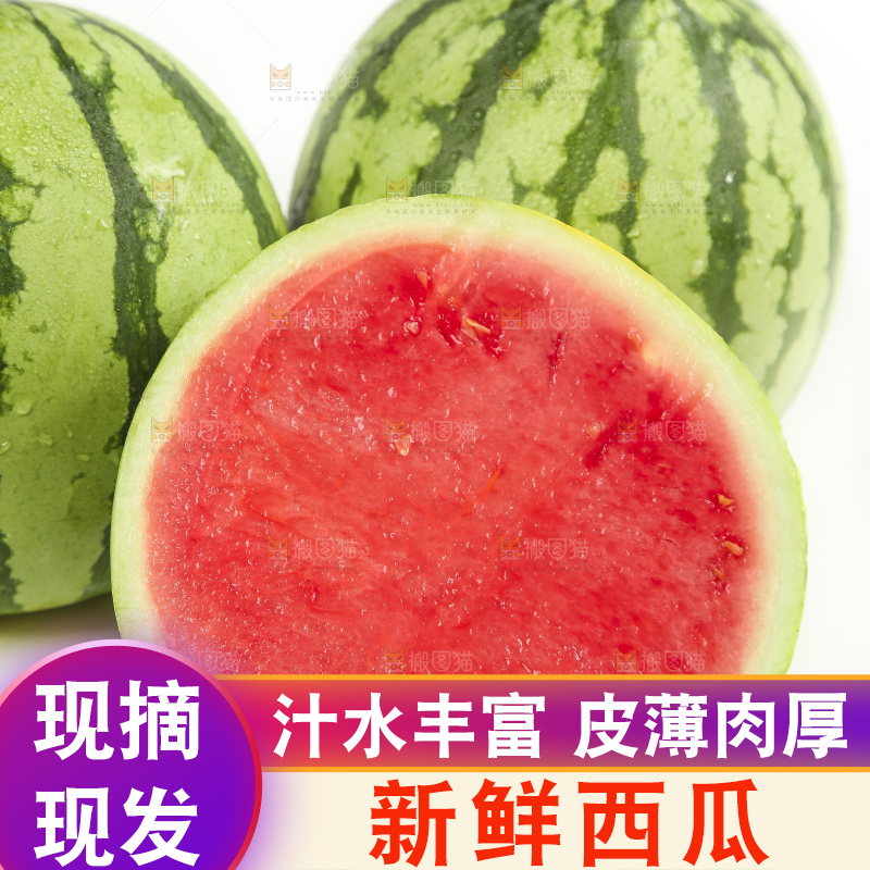 切开的麒麟西瓜放在白底上