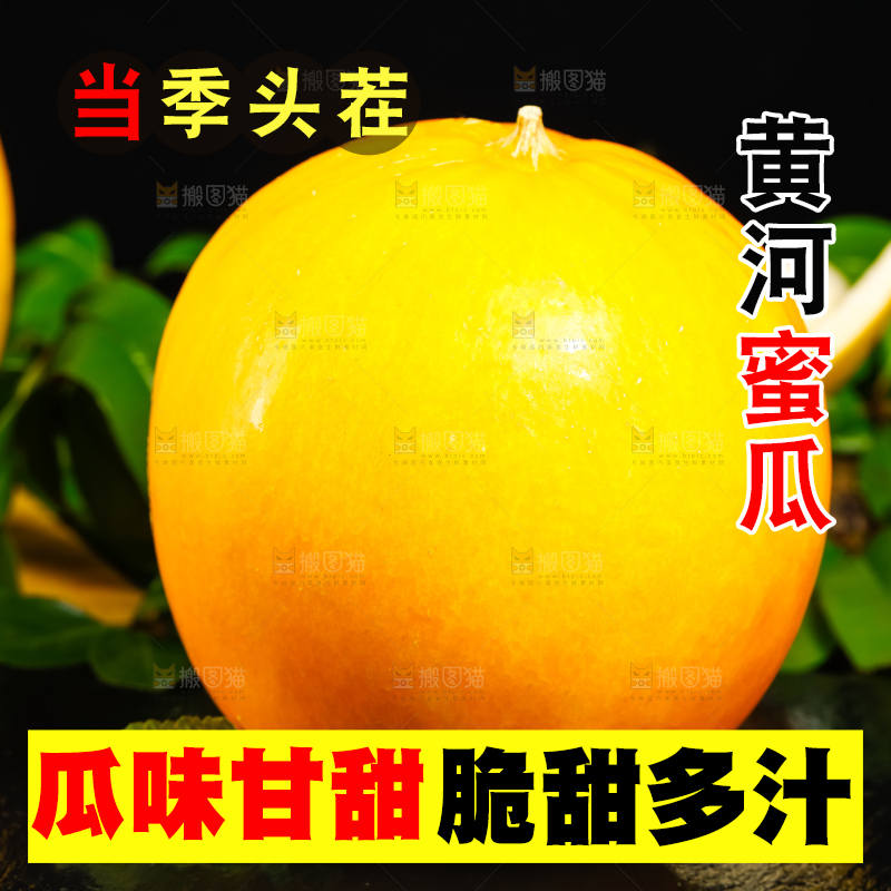 黑底上放着黄金甜瓜