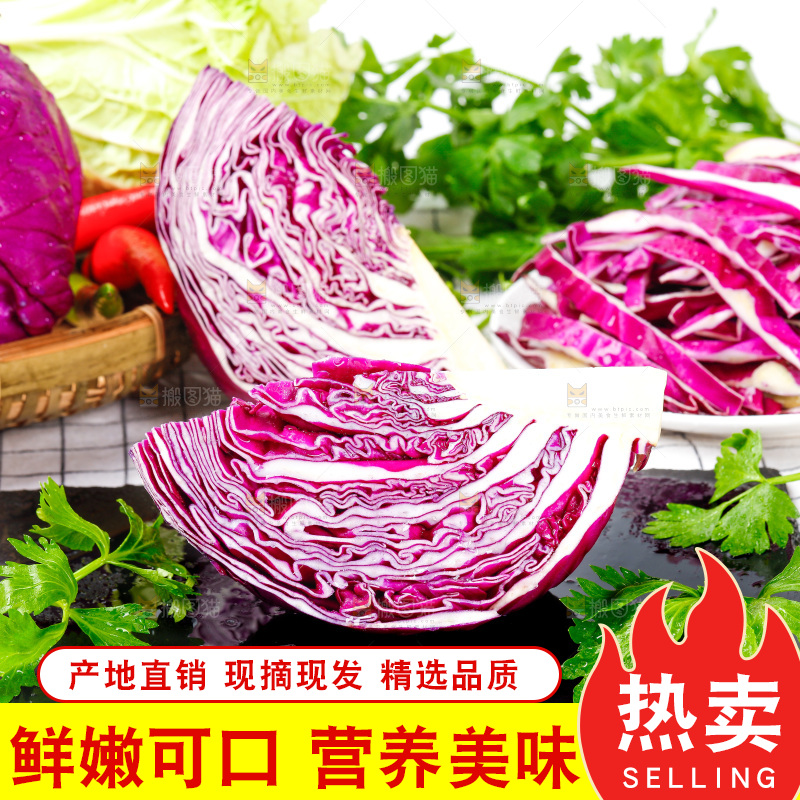 格子底上放着甘蓝