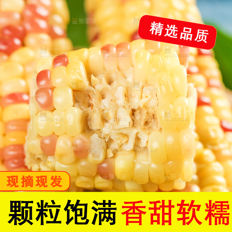 竹笼里放着花玉米