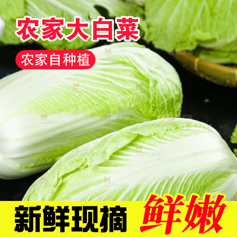 黑底上的有机大白菜