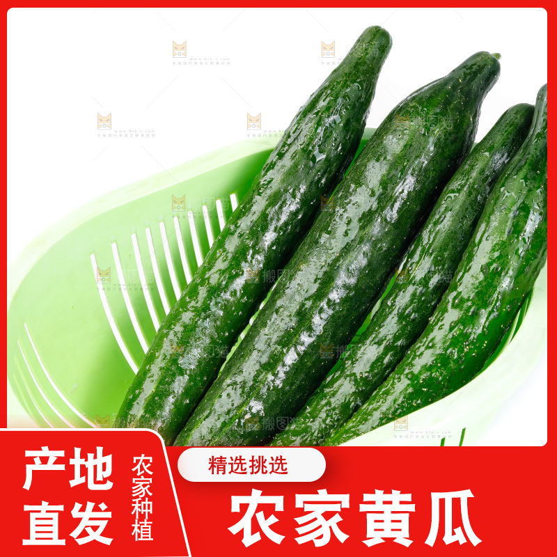 白底上放着黄瓜
