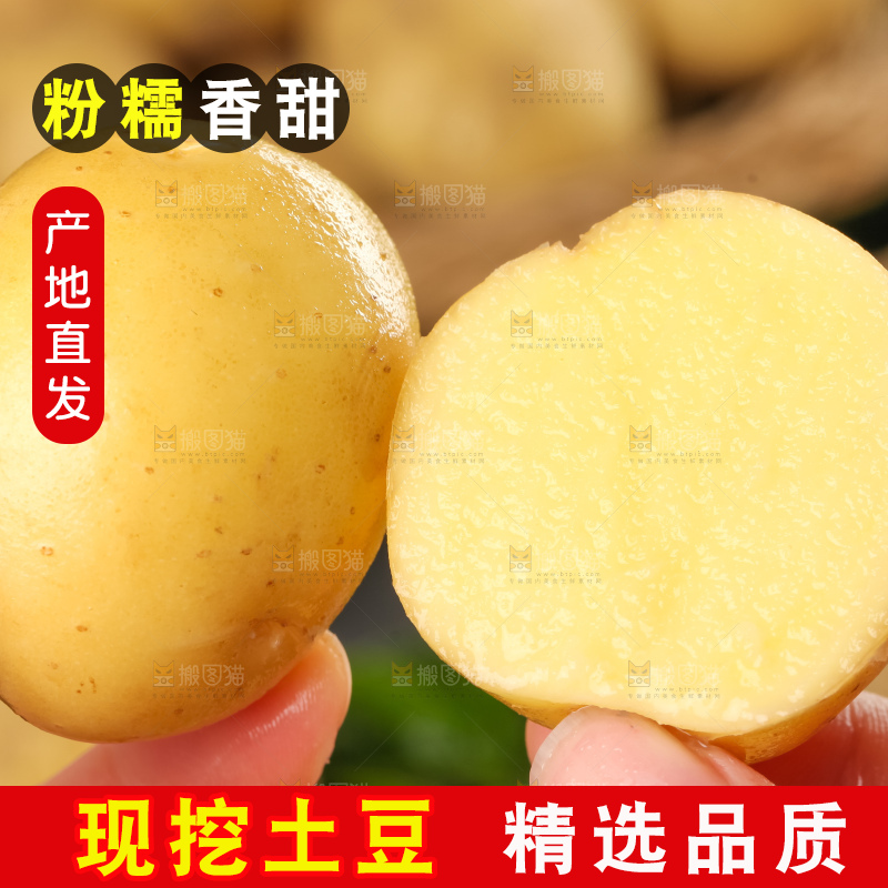手里拿着小土豆