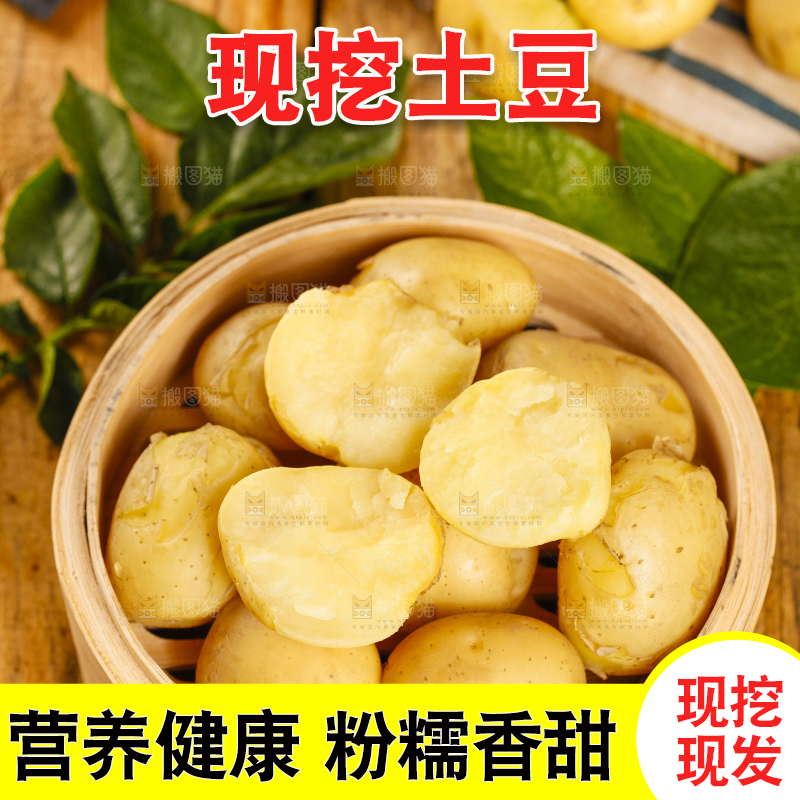 竹笼里放着小土豆