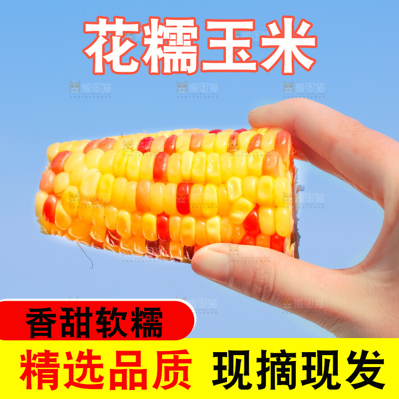 手里拿着花糯玉米