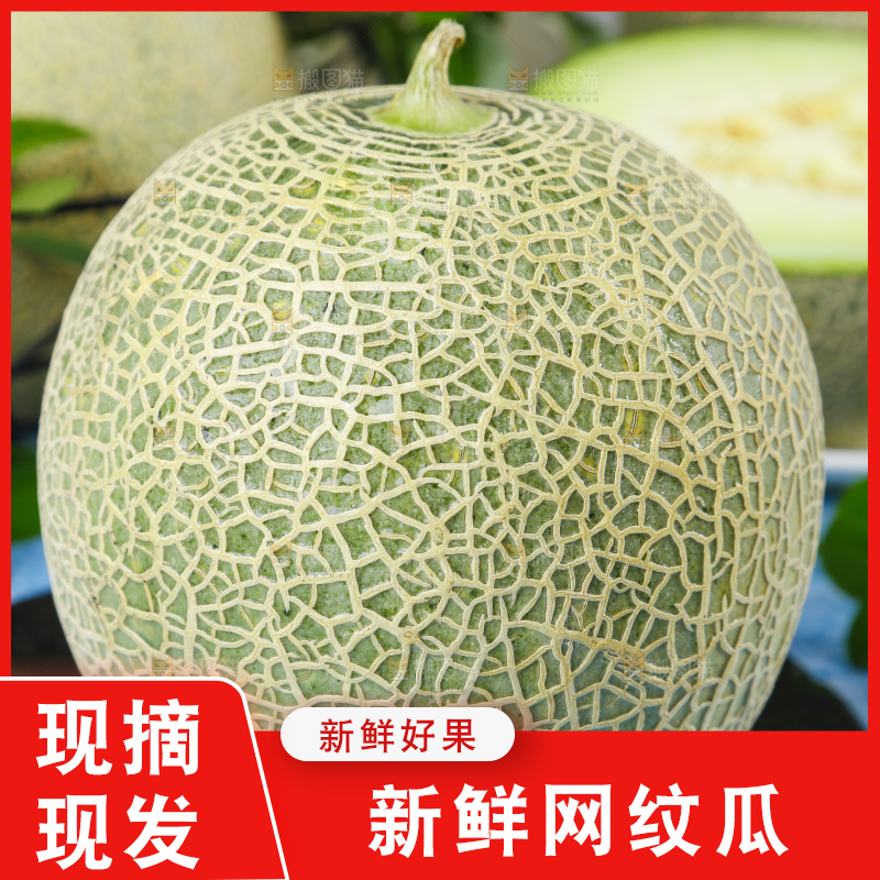 石板上放着新鲜网纹蜜瓜