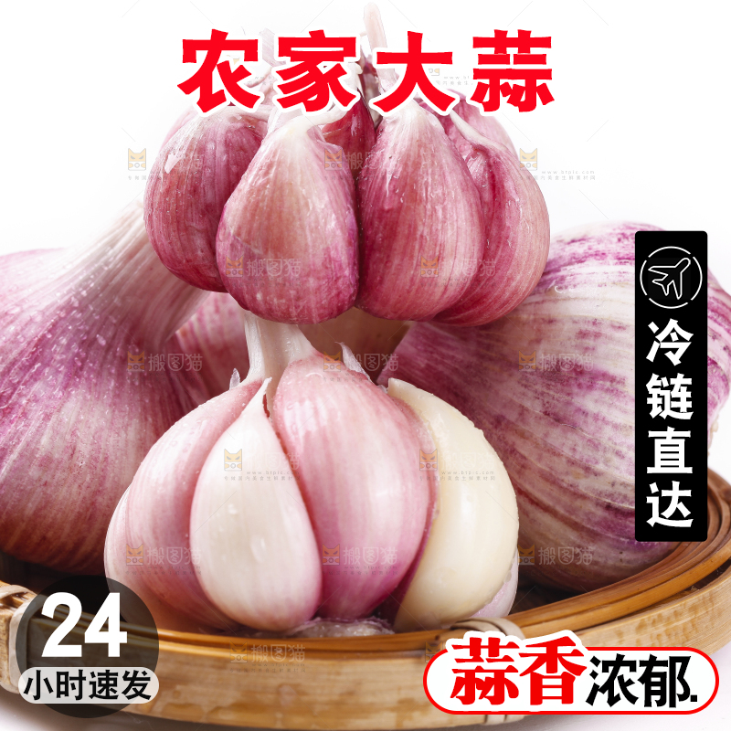 一筐云南新鲜紫皮大蒜放在白底上