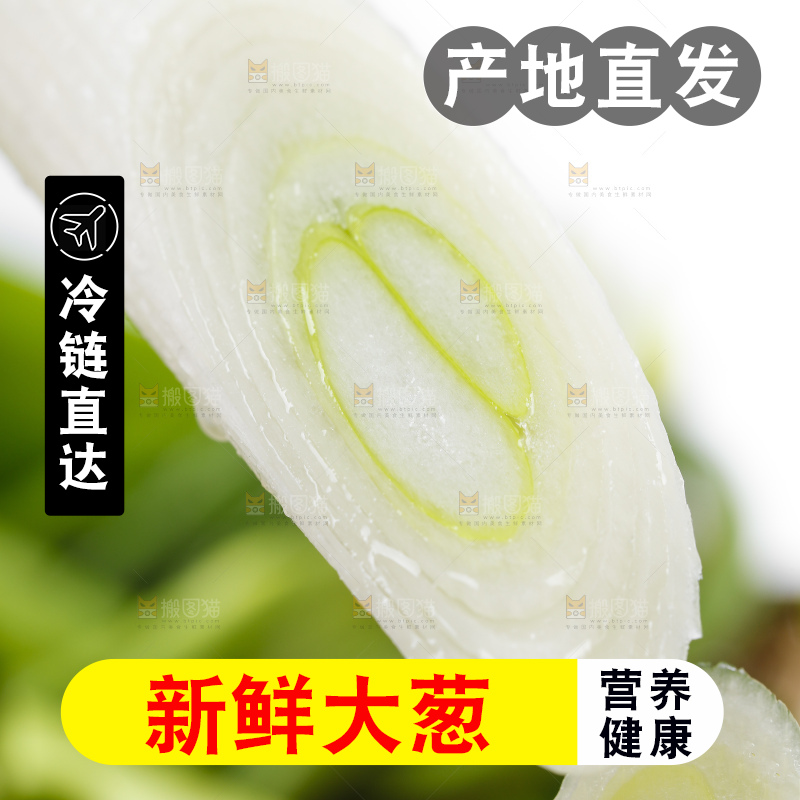 切开的新鲜大葱