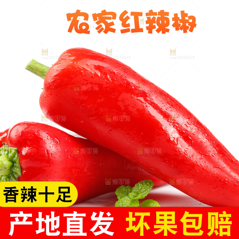 白底上的红菜椒