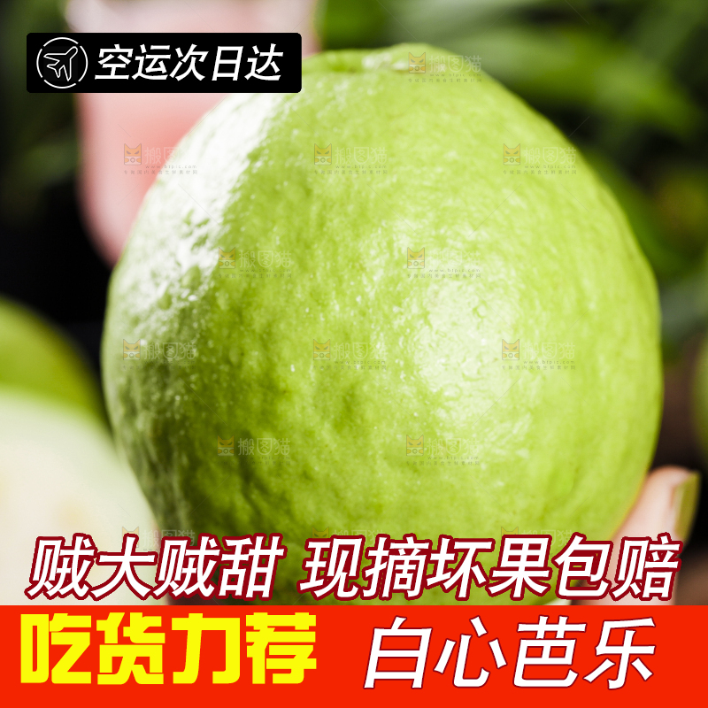 手里拿着白心芭乐