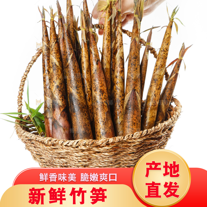 双手提着竹篮里的竹笋