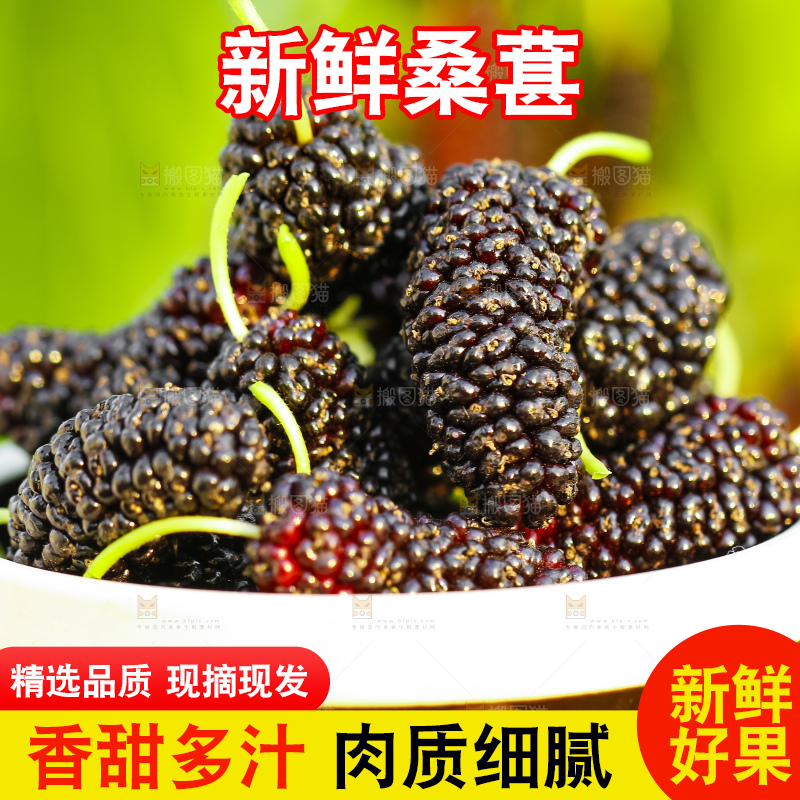 碗里装着桑葚