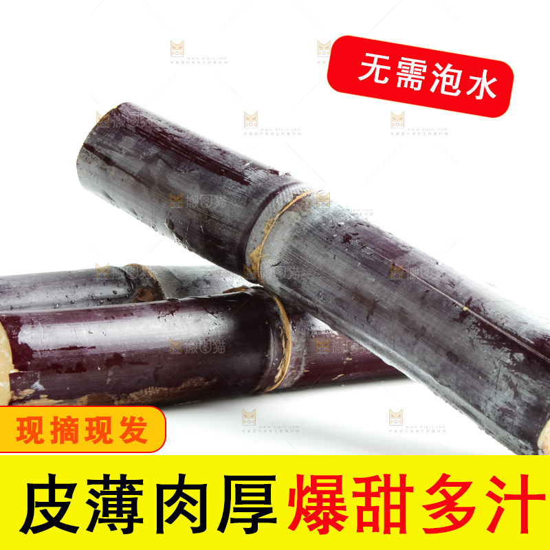 白底上放着甘蔗
