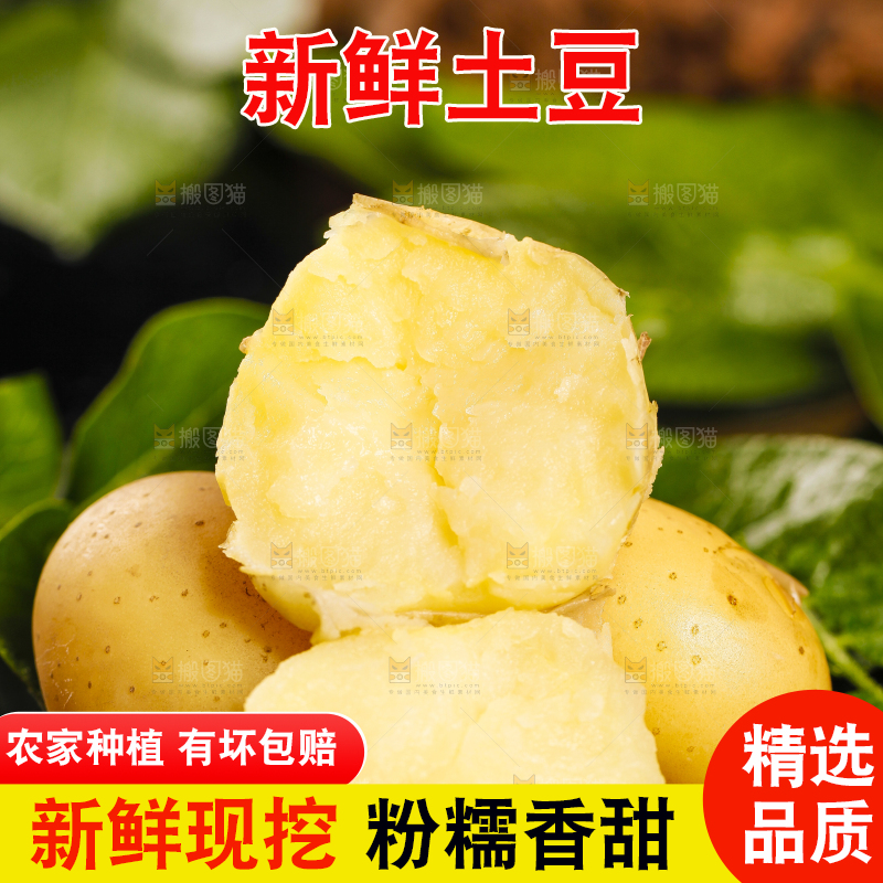 黑石垫上放着云南小土豆