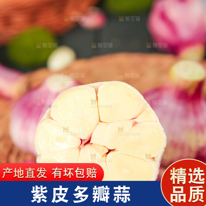 手里拿着紫皮蒜