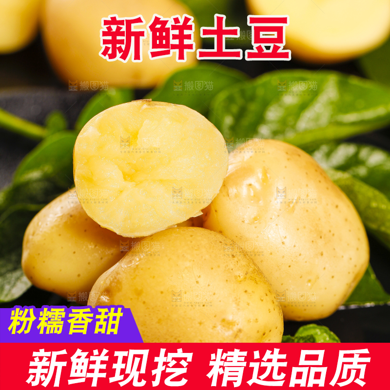 黑石垫上放着云南小土豆