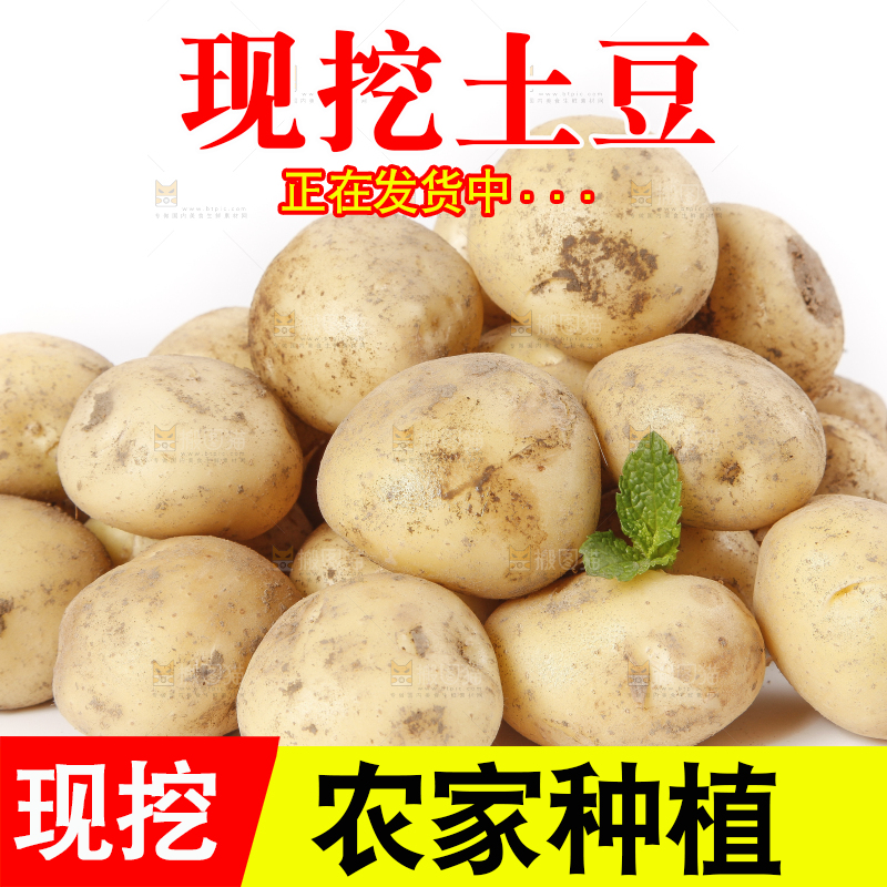 白底上放着小土豆