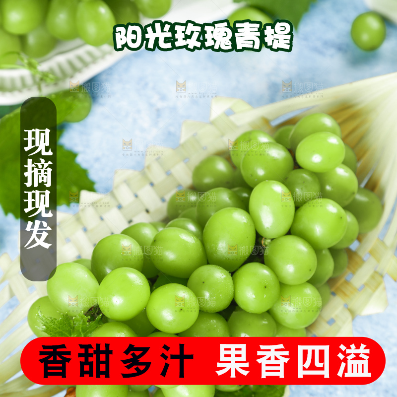 浅底上摆放着阳光玫瑰青提