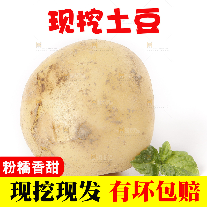 白底上放着土豆