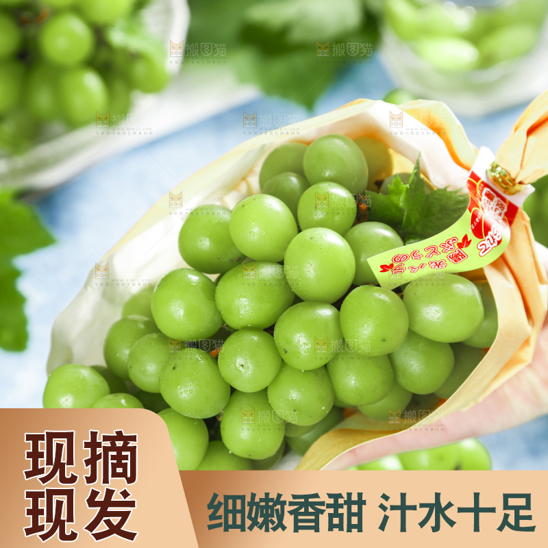 手里拿着香印青提