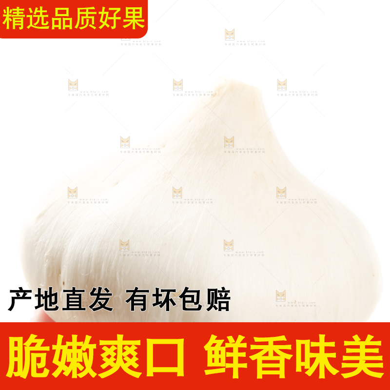 手里拿着凉薯
