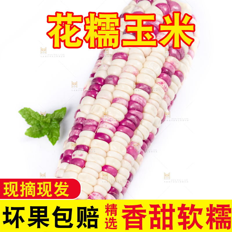 白底上放着花糯玉米