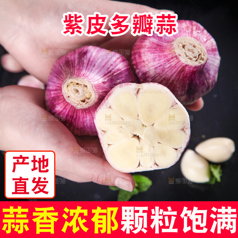 手里拿着紫皮大蒜