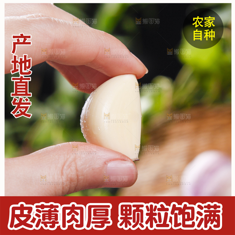 手里拿着紫皮蒜