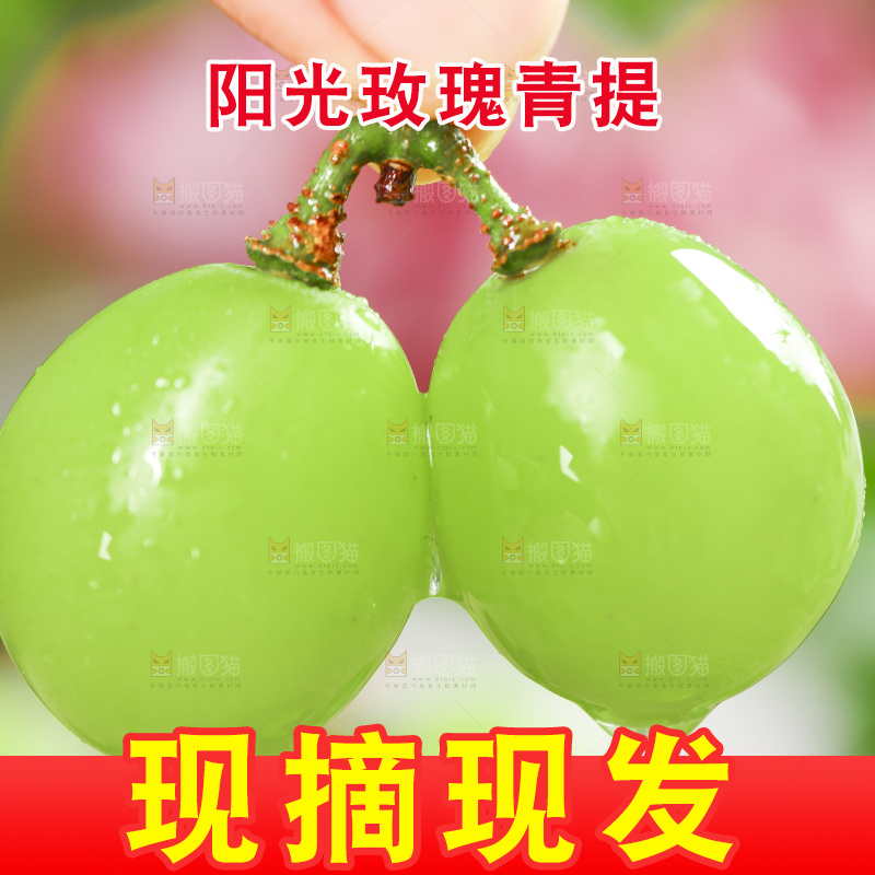 手里拿着阳光玫瑰