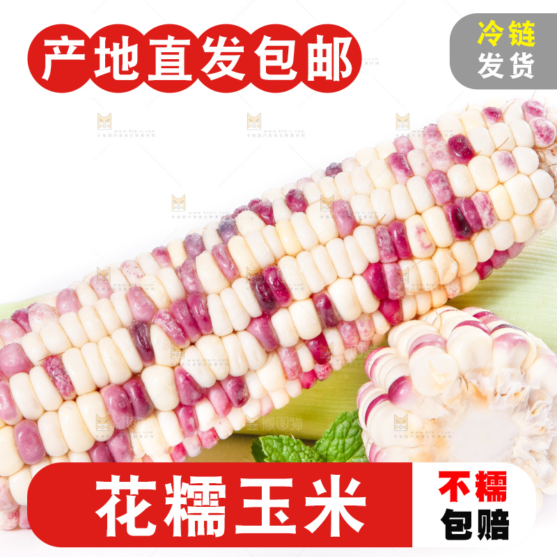 白底上放着剥皮的花玉米