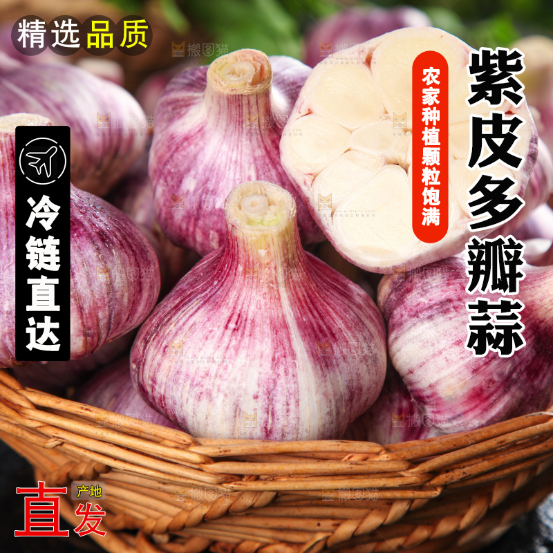 竹篮里放着紫皮大蒜